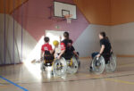 basket_feuteuil_roulant